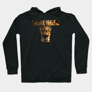 remember who you are lion king text mask Hoodie